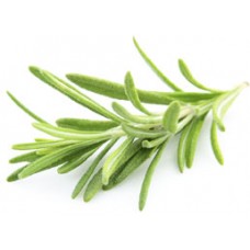 Rosemary Infused Extra Virgin Olive Oil